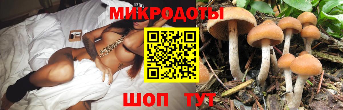 Псилоцибиновые грибы Psilocybine cubensis  Псилоцибиновые грибы прущие грибы  Осинники  купить   Вход с VPN 